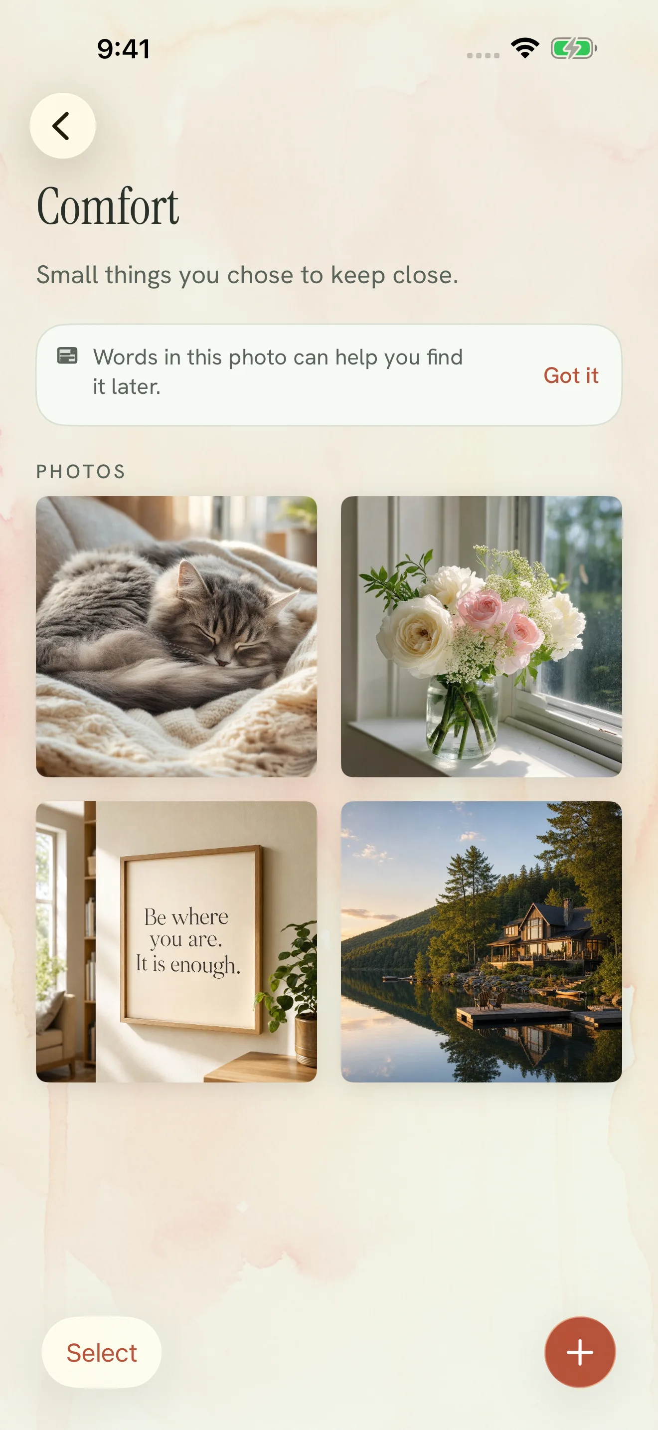 Comfort in Hold, with four photos the person chose to keep close.